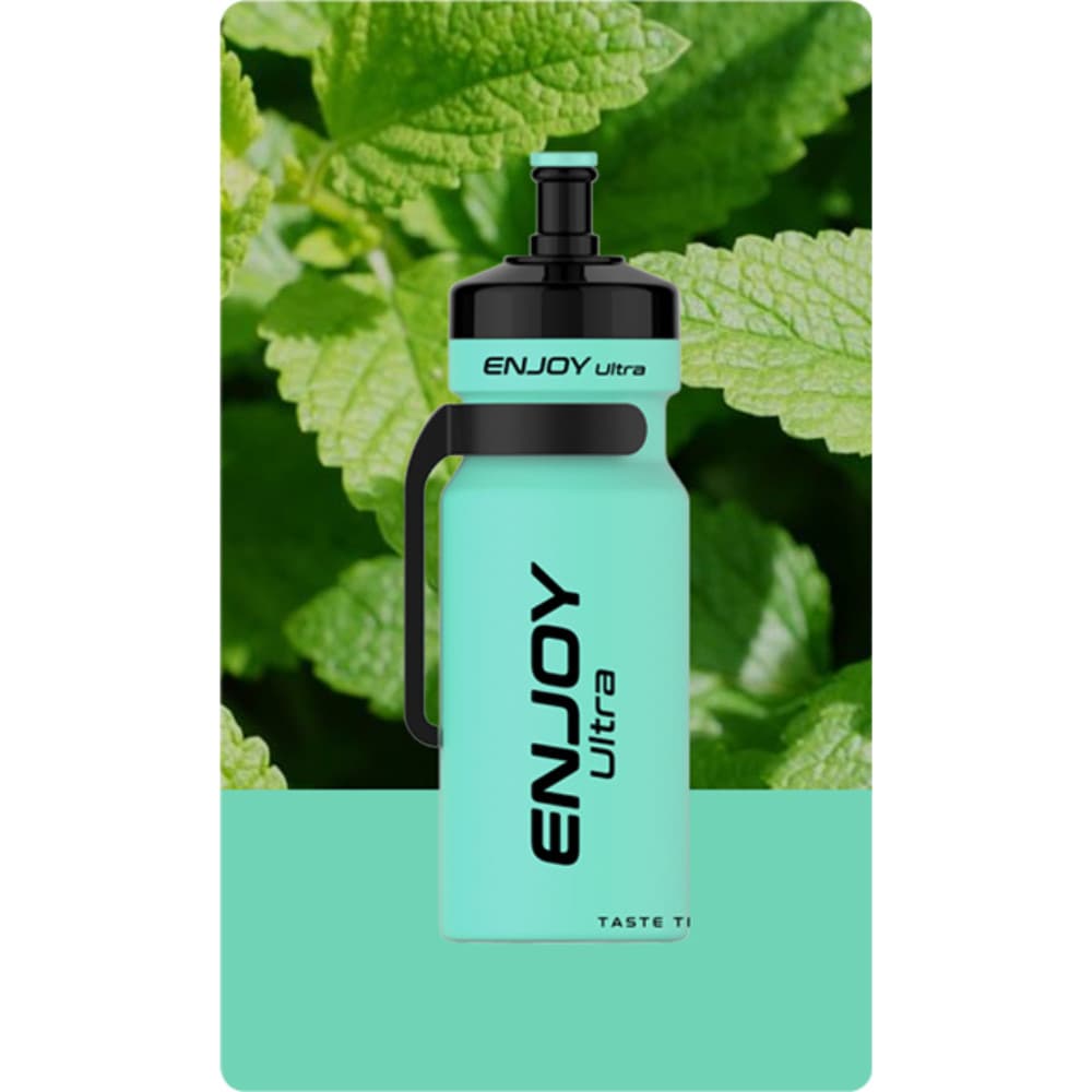  Fresh Mint Enjoy Ultra 9000 Vape Kit Box of 10