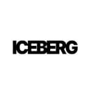 Iceberg
